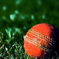 The Friendly Cricket Collective(@PeoplesCricket) 's Twitter Profileg