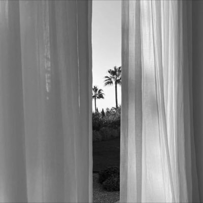 haldferiii's profile picture. 