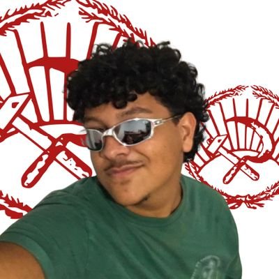 gatasovietica Profile Picture