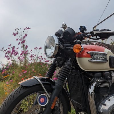 Triumph Bonneville T100に乗ってます🙌テキトーです