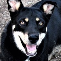 Lona Shockley (@lonaljms) 's Twitter Profile Photo Lona Shockley (@lonaljms) 's Twitter Profile Photo
