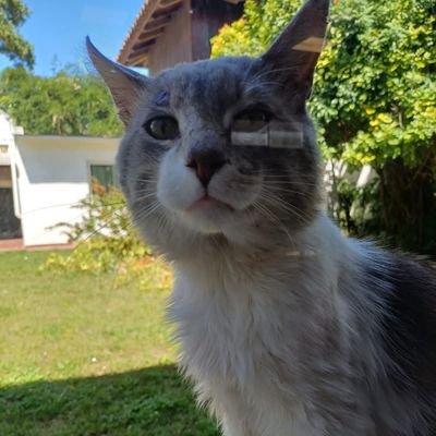 ximena82976564's profile picture. 