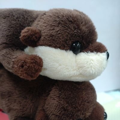 caplico31552129's profile picture. おやーんず世代　team SixTONES   リトルストーン　イカ天育ちのロック同好会あがり  大我くんのX読みたくて登録しました(^^)