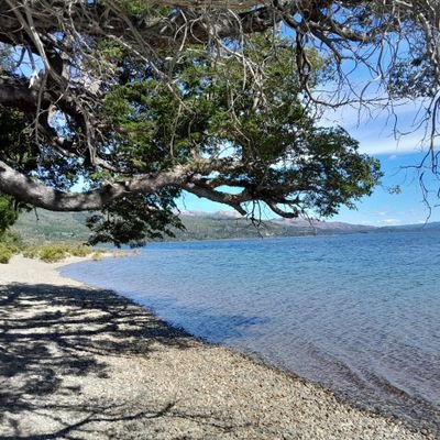 Abelardo5's profile picture. Amancay🐈💚