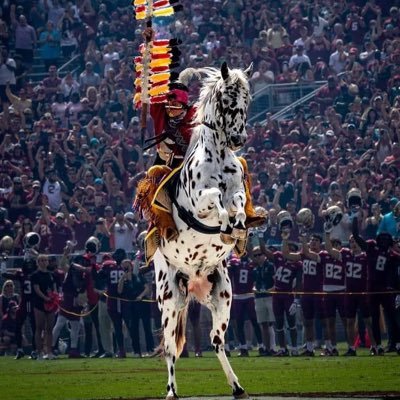 Nole Nurse. FSU Alum, booster and member of TBE Collective. 🍢🍢🍢