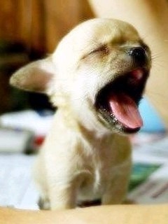 goodayb's profile picture. 걍졸림/웹디자인/쉽게질림/감정기복심함/은둔형띨띨이/알바는알바일뿐/선팔무한감사/유유자적하게살고싶어여..