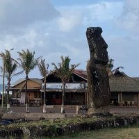 Coffee DNA Rescue (@rescuecoffeedna) 's Twitter Profile Photo