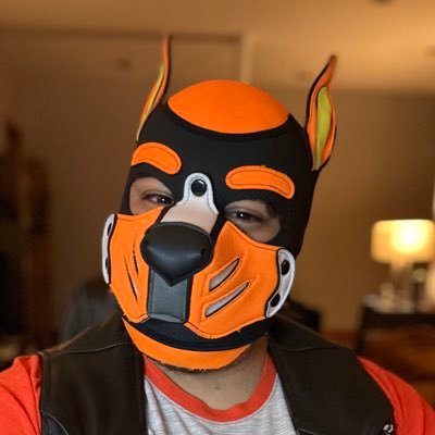 PupCarino Profile Picture