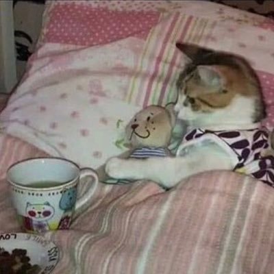 Blue17velvet's profile picture. 