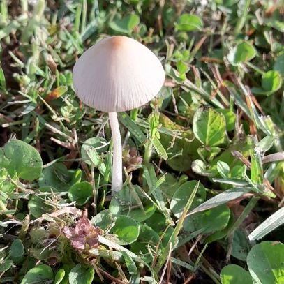 enaj_mas's profile picture. 