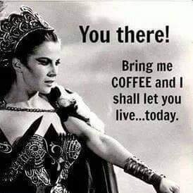 Author, poet, liberal human. #voteblue2024! #resistpatriarchy 
No DM's or Lists without asking me first. Mom of two grown kids. Haters begone!  #SlavaUkraine☮️