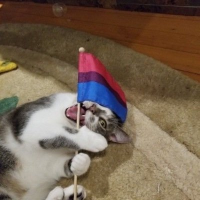 _pipermclean10's profile picture. “o essencial é invisível aos olhos”