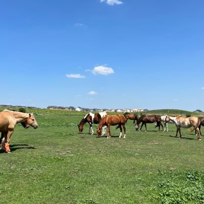 deereseason7's profile picture. 