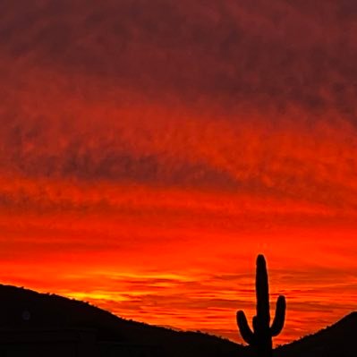 rockfarm08's profile picture. 