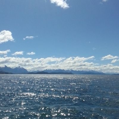 radfemmmie's profile picture. no bio