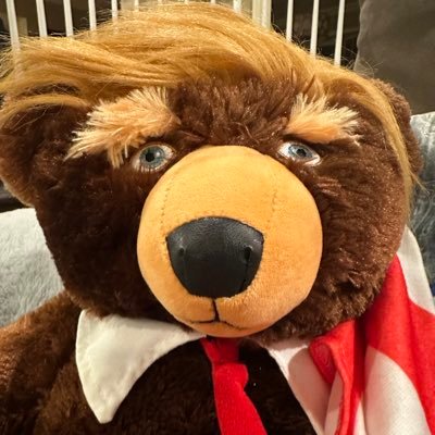 Election integrity. Botox lover. Mom. Wife. Red pilled. Local GOP Chair. GOP CC. MAGA