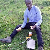 Stephen maginga gisiri (@gisirimaginga) 's Twitter Profile