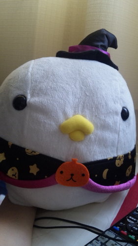 もえぴぃ