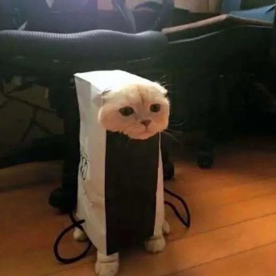 MAMaster169294's profile picture. 