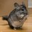 ChinchillaisGod's profile image
