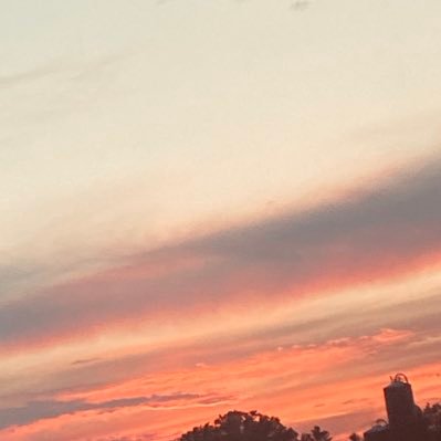 honk69696969's profile picture. 