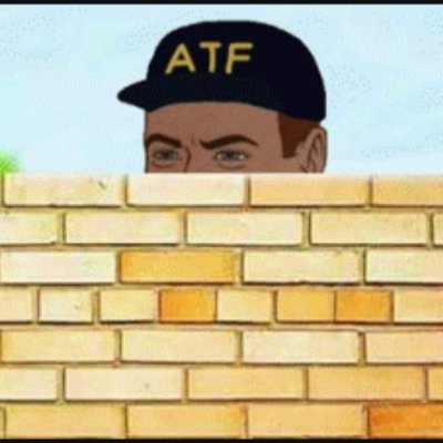 ATFirearmsTTV Profile Picture