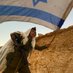 יוסף גרמון 🇮🇱 Yosef Garmon (@rabinogarmon) Twitter profile photo יוסף גרמון 🇮🇱 Yosef Garmon (@rabinogarmon) Twitter profile photo