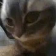 Ting7170066's profile picture. 每天都想睡覺🫠