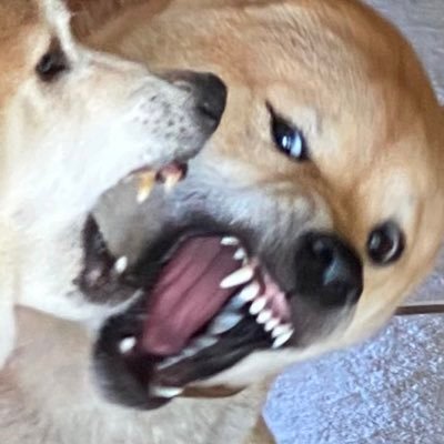 JZ53_'s profile picture. Veteran, Patriot, Semi-retired businessman, MBA. 1A, 2A. MAGA. Constitutional conservative. Married my trophy wife first 40+ years ago.