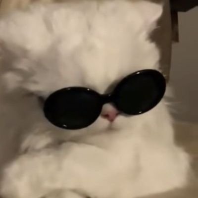 Me0w_o3o_'s profile picture. onlyme 😻💐 || ♡ @Me0w_o3o_