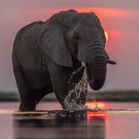 La C么te d'Ivoire 馃嚚馃嚠馃嚚馃嚠馃嚚馃嚠 (@sare_luc) 's Twitter Profile