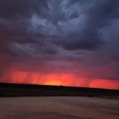 spilmer01's profile picture. Shit Poster