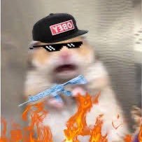 realnixontop_'s profile picture. I’m a twitch streamer having fun and being me. I’m 6’8 and ex basketball player.