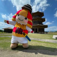 おきょう (@wildflower_okyo) 's Twitter Profile Photo おきょう (@wildflower_okyo) 's Twitter Profile Photo