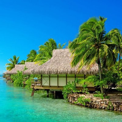 Reydmenez's profile picture. 生命是酸楚与能量并存的奇迹。