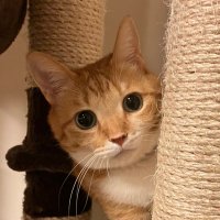 瑞希*@NO.CAT🐱/NO.LIFE🐻🎩 (@cat_5607ch) 's Twitter Profile Photo 瑞希*@NO.CAT🐱/NO.LIFE🐻🎩 (@cat_5607ch) 's Twitter Profile Photo
