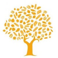 SOAS Centre for Migration and Diaspora Studies (@soas_cmds) 's Twitter Profile Photo SOAS Centre for Migration and Diaspora Studies (@soas_cmds) 's Twitter Profile Photo
