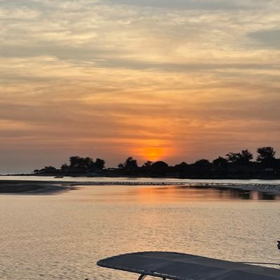 krocannes's profile picture. 