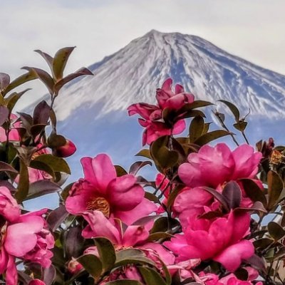 子供英語教室をしています。
可愛い子供たちに囲まれ
沢山のエネルギー❤️と、
幸せ😃をもらっています。