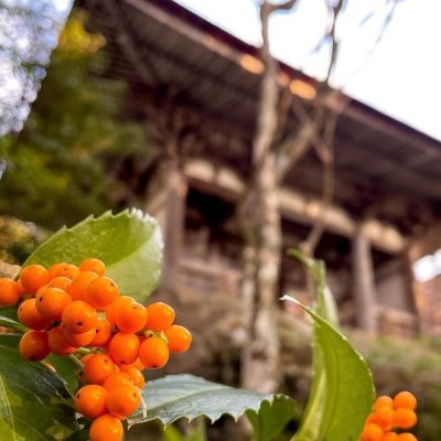 子供英語教室をしています。
可愛い子供たちに囲まれ
沢山のエネルギー❤️と、
幸せ😃をもらっています。