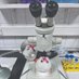AMORE_Lab (@amore_lab) Twitter profile photo AMORE_Lab (@amore_lab) Twitter profile photo