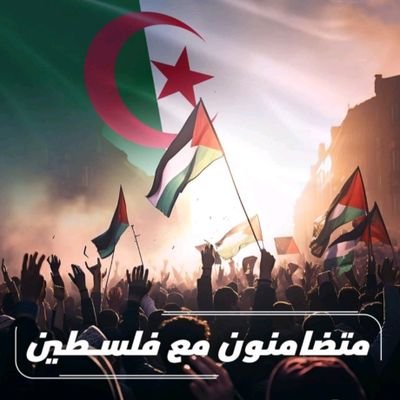 RazikaSenadjki's profile picture.