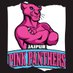 ℙ𝕚𝕟𝕜 ℙ𝕒𝕟 𝕋𝕙𝕖𝕣𝕤【VN】🇻🇳 (@pinkpanthers_vn) Twitter profile photo ℙ𝕚𝕟𝕜 ℙ𝕒𝕟 𝕋𝕙𝕖𝕣𝕤【VN】🇻🇳 (@pinkpanthers_vn) Twitter profile photo