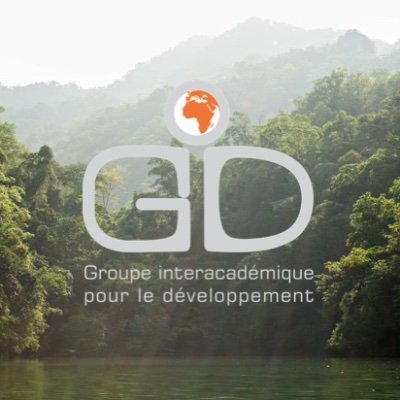 GIDorganisatio_ Profile Picture