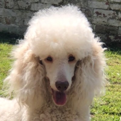 MrDeucer's profile picture. 