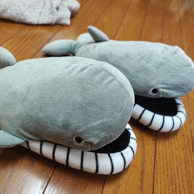 cali6my's profile picture. 笑顔じゃなければ？みかかじゃない！We enjoy SPEECH！We love SPEECH！We are RESEARCHER！！
/私は横須賀に来た 負けたくないから 間違ってないから