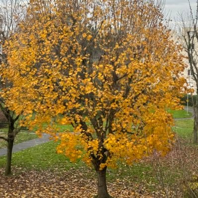 MGseyra's profile picture. Always keep walking !