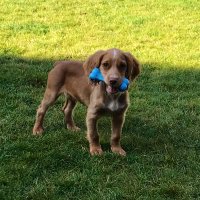 Miss Devlin (@missdevlinlms) 's Twitter Profile