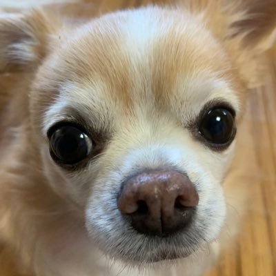 WhCcCOrZ22wWOXI's profile picture. 