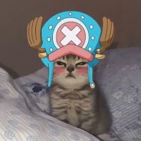 👾Acho q vi um gatin👾さんのプロフィール画像